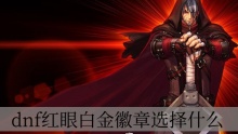 dnf红眼白金徽章选择什么