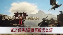 龙之信条2蔷薇宫殿怎么进