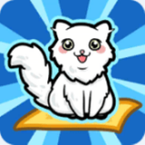 跑跑云养猫手游最新版下载