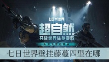 七日世界壁挂藤蔓四型在哪