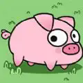 我家猪跑了下载手游